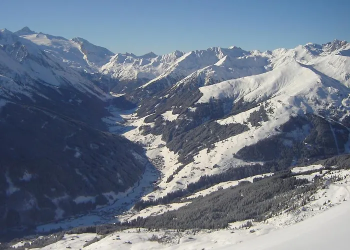 Auenhotel Ξενοδοχείο Tux