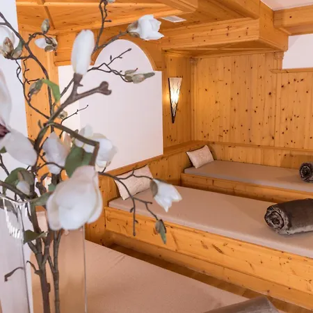 Auenhotel Ξενοδοχείο Tux